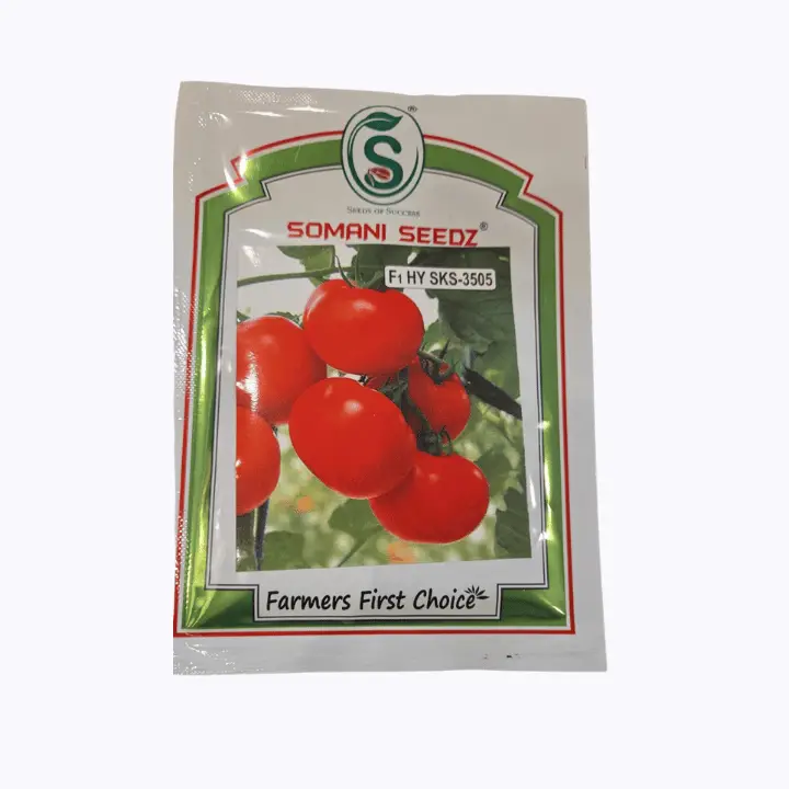 Somani Seedz Tomato – SKS 3505