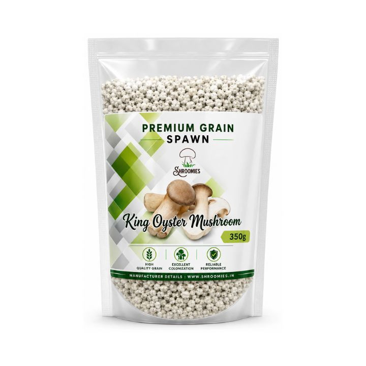 SporeKart King Oyster Mushroom Spawn – main view