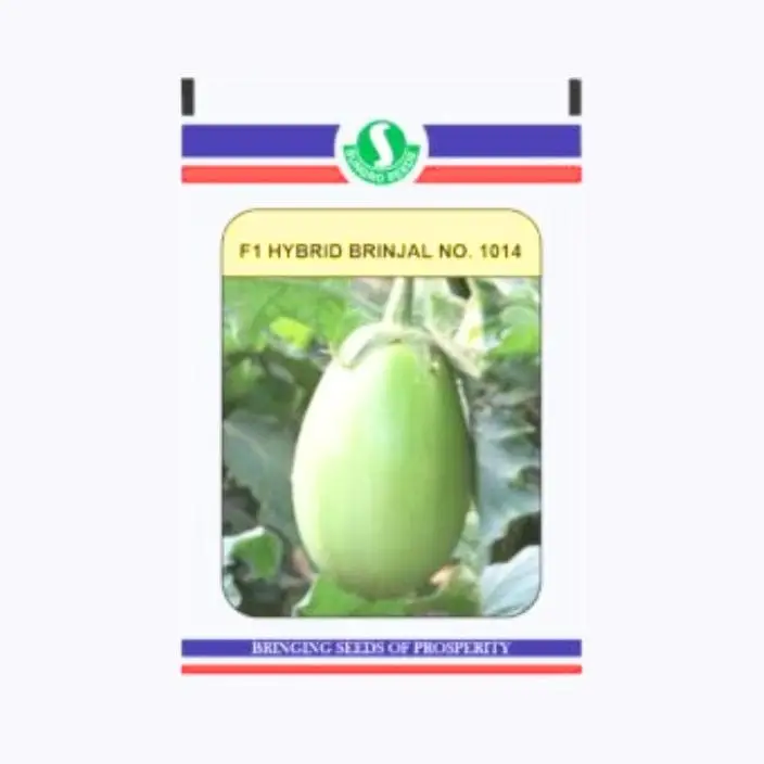 Sungro 1014 Brinjal Seeds – main view