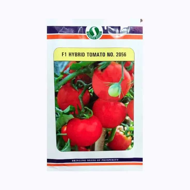 Sungro 2056 Tomato Seeds – main view