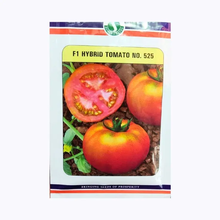 Sungro 525 Tomato Seeds – main view