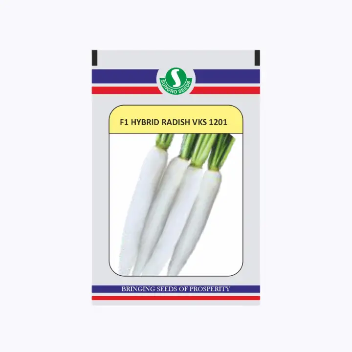 Sungro F1 Hybrid VKS 1201 Radish Seeds