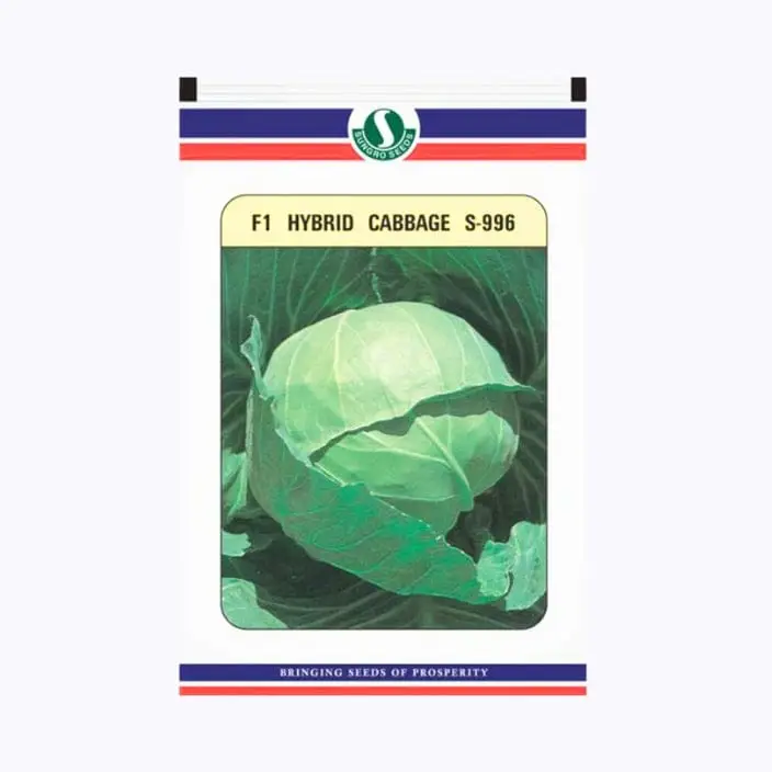 Sungro S-996 Cabbage Seeds – main view