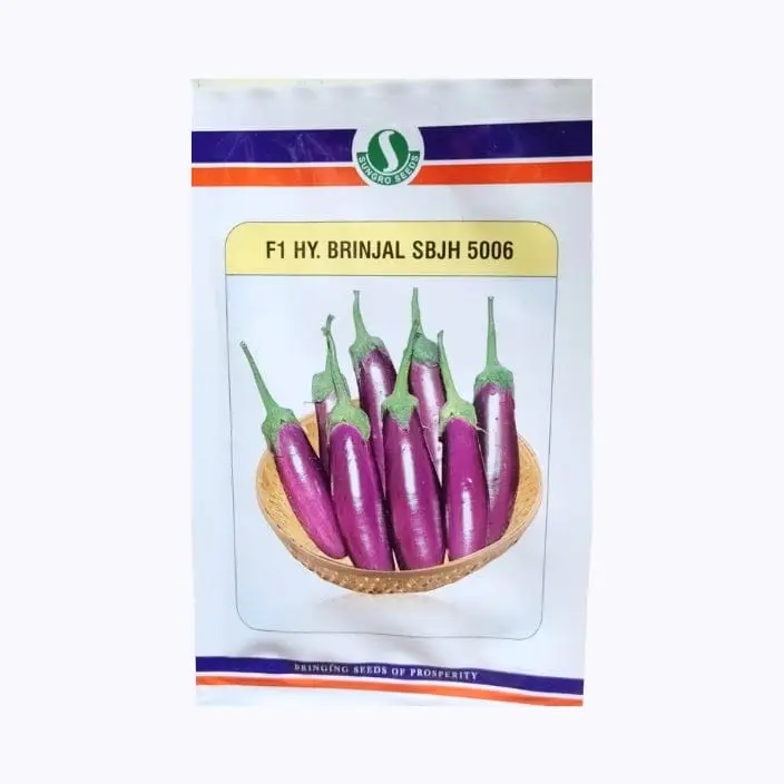 Sungro SBJH 5006 Brinjal Seeds – main view