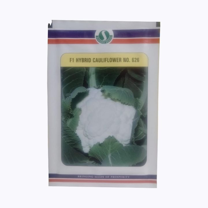 Sungro F1 Hybrid Cauliflower No. 626 Seeds
