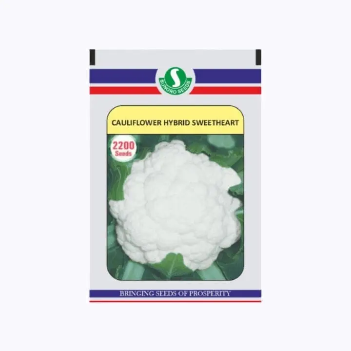 Sungro Sweetheart Cauliflower Seeds – main view