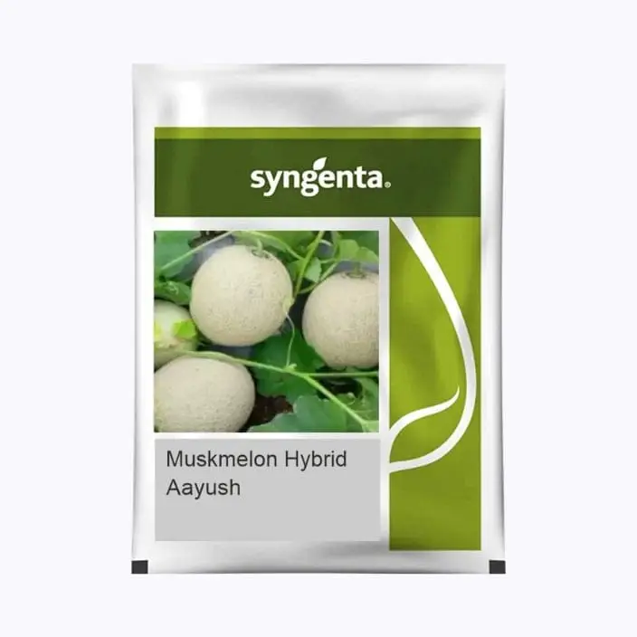 Syngenta Aayush Muskmelon Seeds – main view