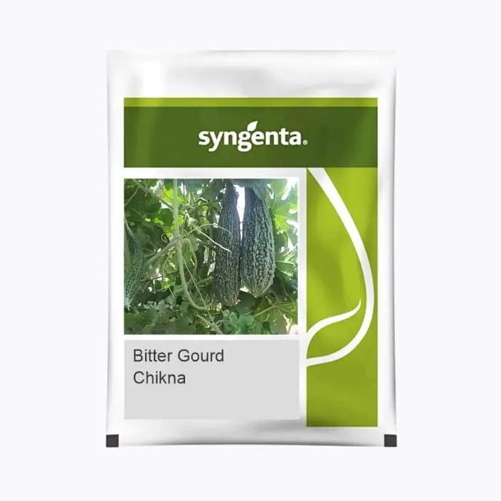 Syngenta Chikna Bitter Gourd Seeds – main view