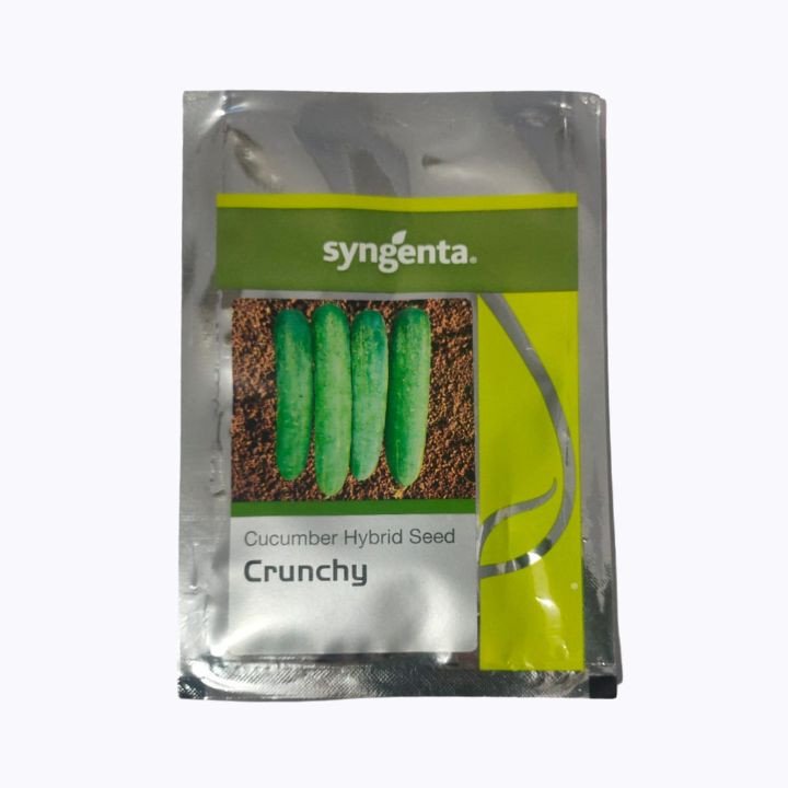 Syngenta Crunchy Cucumber Hybrid Seeds