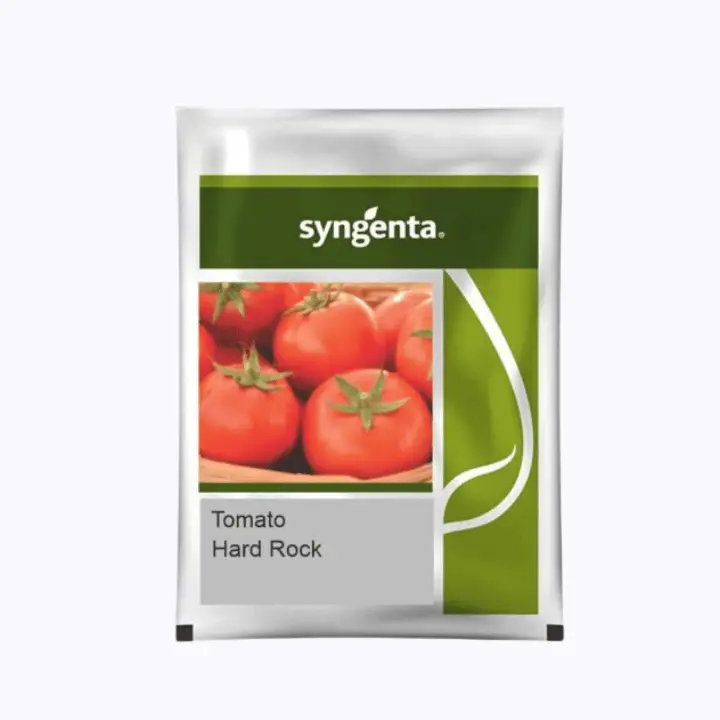 Syngenta Hard Rock Tomato Seeds – main view