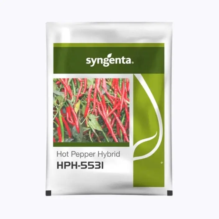Syngenta HPH-5531 Chilli Seeds – main view
