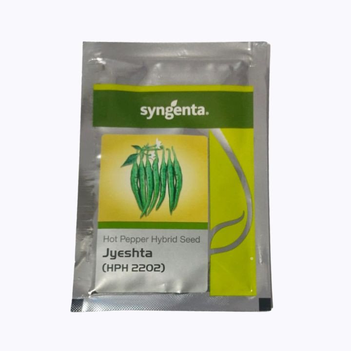 Syngenta Jyeshta (HPH-2202) Hybrid Hot Pepper Seeds