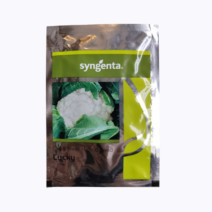 Syngenta Lucky Hybrid Cauliflower Seeds