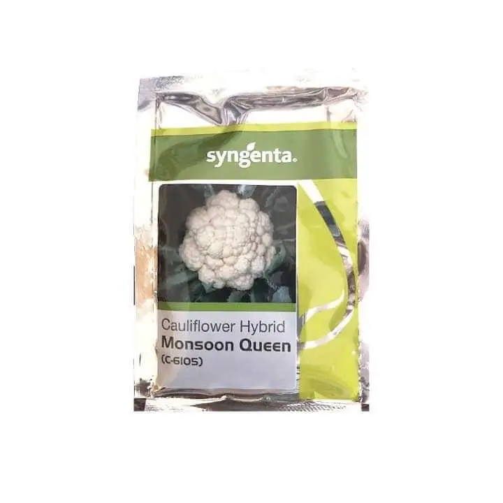 Syngenta Monsoon Queen C-1605 Cauliflower Seeds – main view