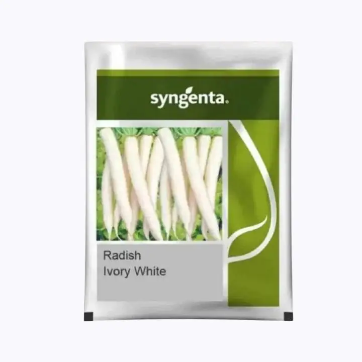 Syngenta Radish Lvory White Seeds