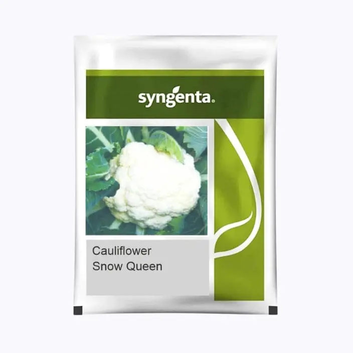 Syngenta Snow Queen Cauliflower Seeds – main view