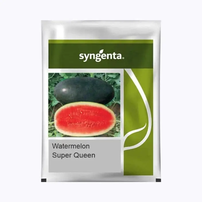 Syngenta Sugar Queen Watermelon Seeds – main view