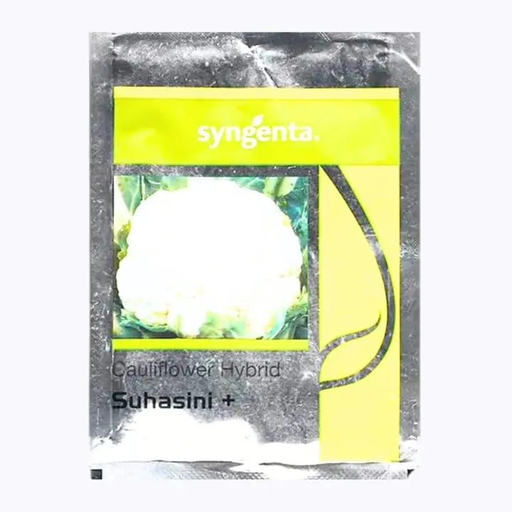 Syngenta Suhasini Cauliflower Seeds