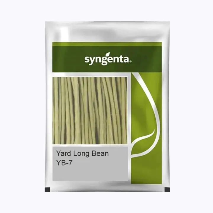 Syngenta YB-7 Yard Long Bean Seeds – main view