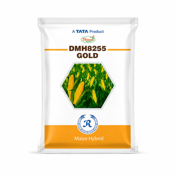 Tata 8255 Gold Corn Seeds