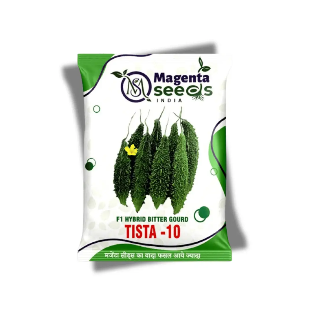 Tista (MSH1301) F1 Hybrid Bitter Gourd Seeds