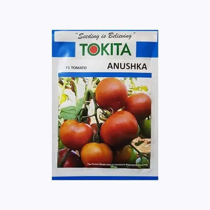 Tokita Anushka Tomato Seeds – main view