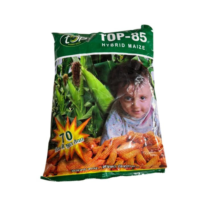 Top Hybrid Seeds Top 85 Hybrid Maize Seeds Sweet Corn Seeds
