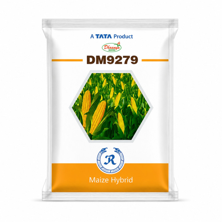 Tata DM 9279 Corn Seeds