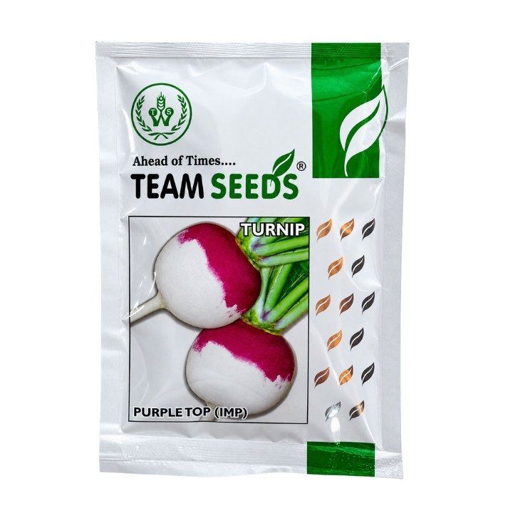 Team Seeds Purple Top (IMP) Turnip Seeds