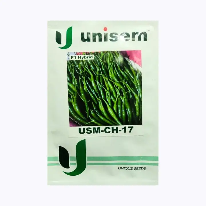Unisem USM-CH-17 Chilli Seeds – main view