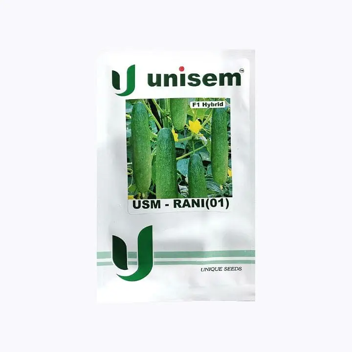 Unisem USM-Rani (01) Cucumber Seeds – main view