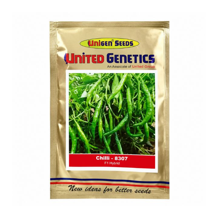 United Genetics Chilli 8307 Chilli Seeds – Mirchi Seeds