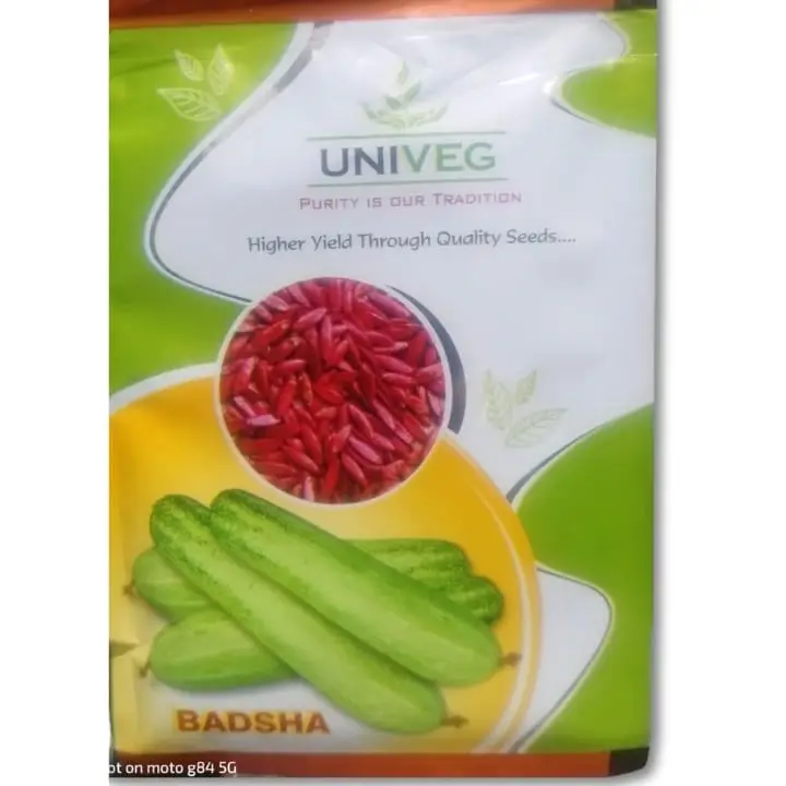 Univeg Badsha Cucumber Seeds – main view