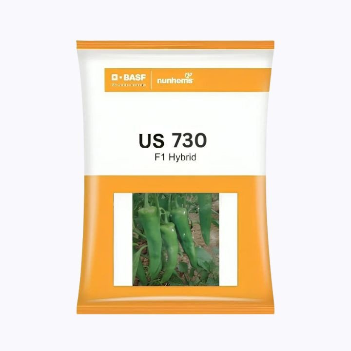 Nunhems US 730 F1 Hot Pepper Seeds