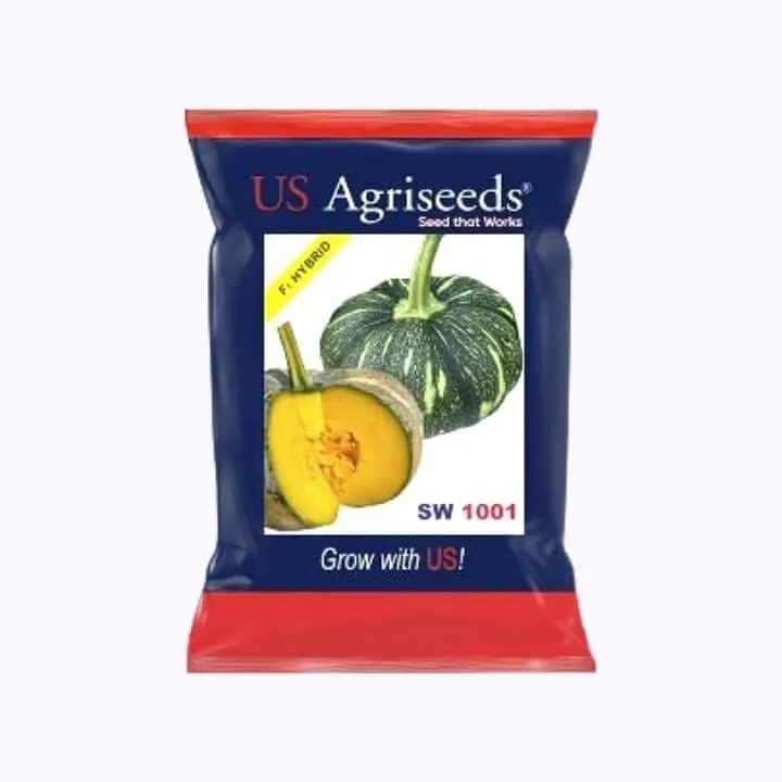 US Agriseeds SW 1001 Pumpkin Seeds – main view