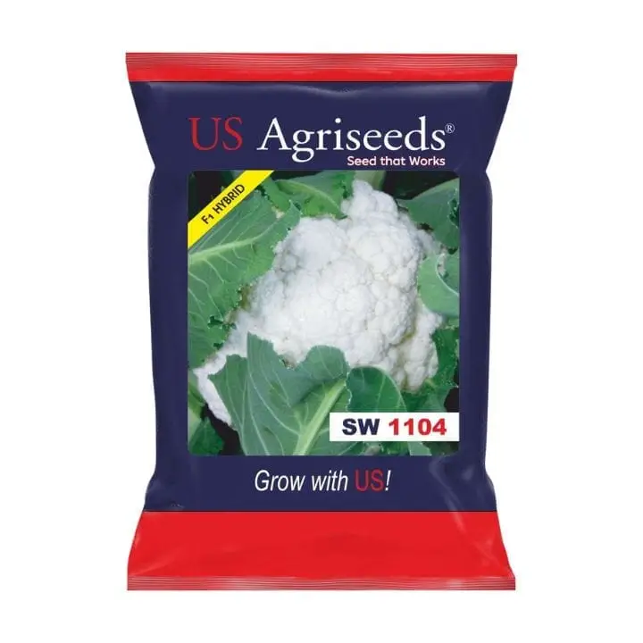 US Agriseeds SW 1104 Cauliflower Seeds – main view