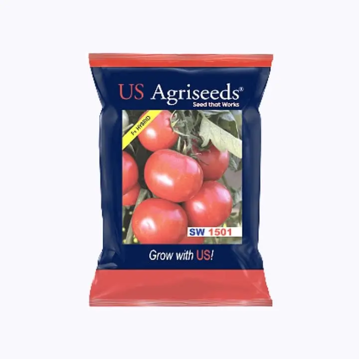 US Agriseeds SW 1501 Tomato seed - 10gm – main view