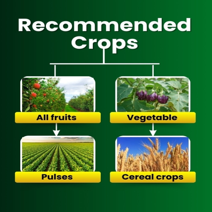 Katyayani Triple Attack (VBM) – Bio-Insecticide – thumb