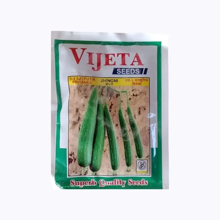 Vijeta S-1 Satputia Priyanka Ridge Gourd – main view