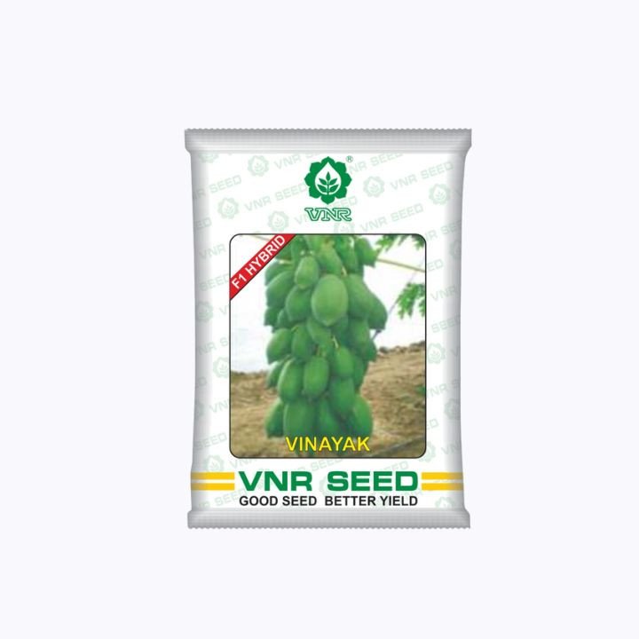 VNR Papaya Hybrid Vinayak Seeds