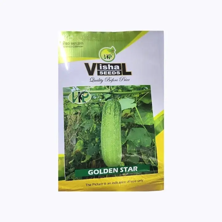 Vishal Golden Star Cucumber Seeds – main view