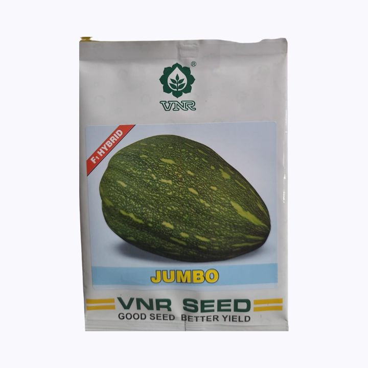 VNR Jumbo F1 Hybrid Pumpkin Seeds