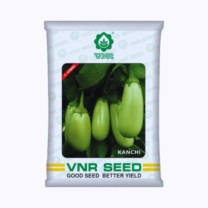 VNR Kanchi Brinjal Seeds – main view