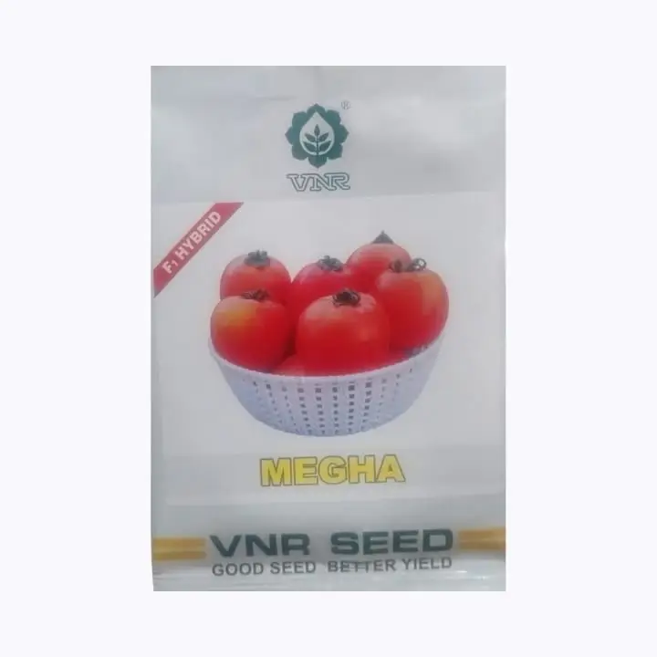 VNR Megha Tomato Seeds – main view