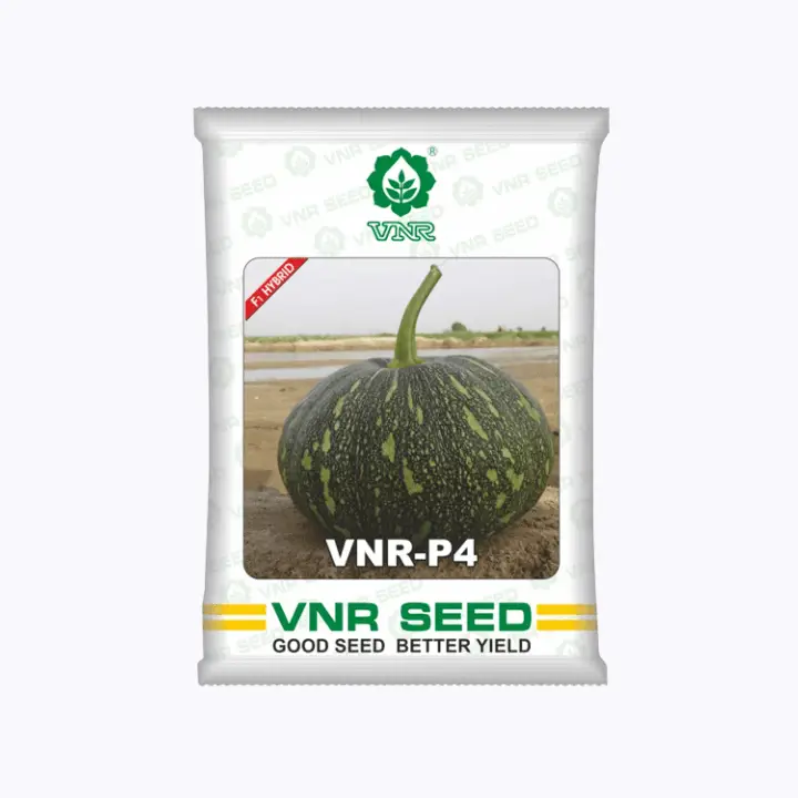 VNR P4 F1 Hybrid Pumpkin Seeds – main view
