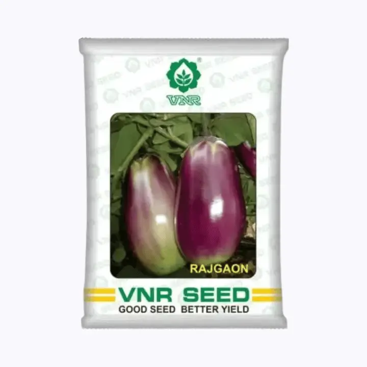 VNR Rajgaon Brinjal Seeds – main view
