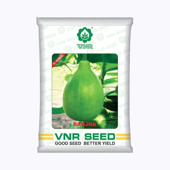 Vnr Ranjha Bottle Gourd Seeds – main view