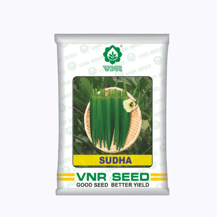 VNR Sudha Okra (Bhindi) Seeds – main view