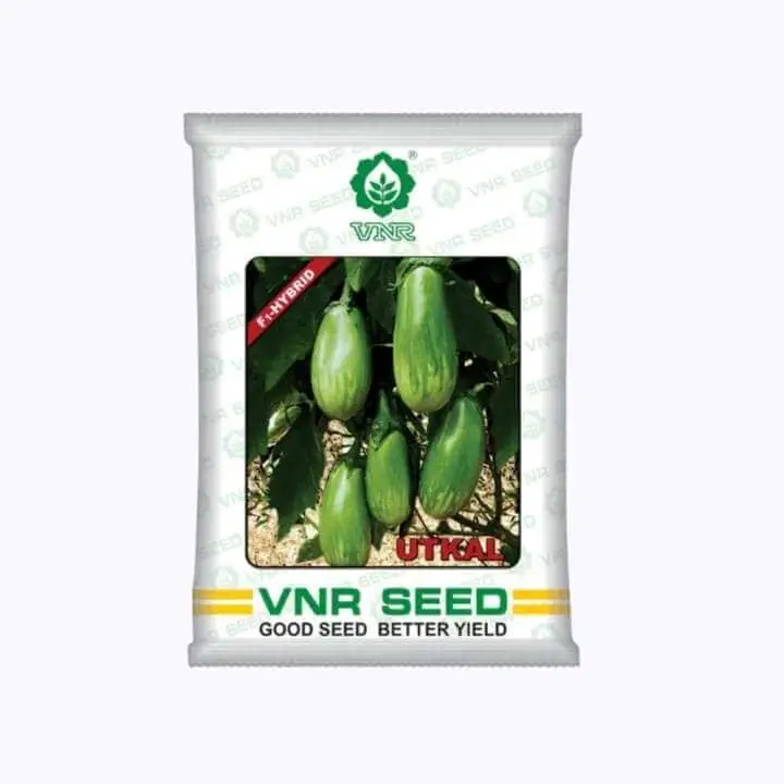 VNR Utkal F1 Hybrid Brinjal Seeds - 10 gm