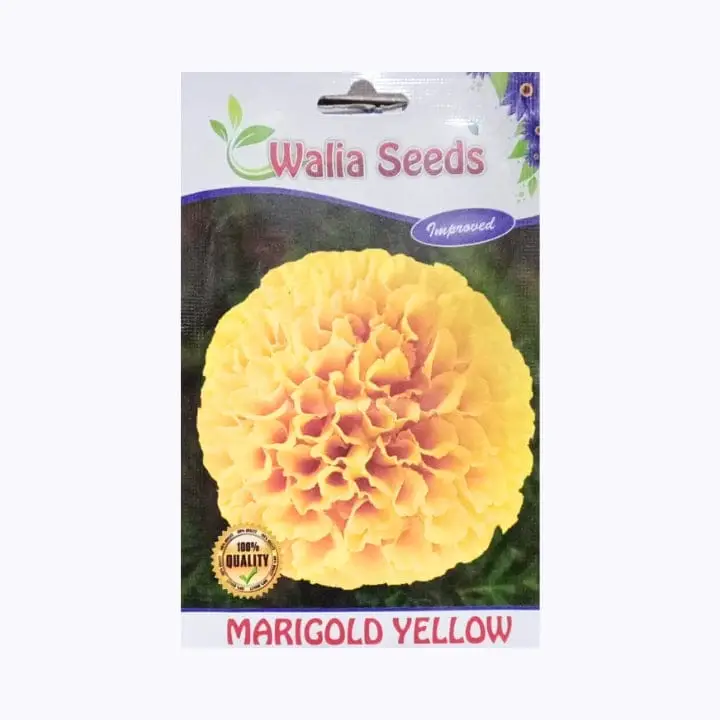 Walia Marigold Yellow Flower Seeds – main view